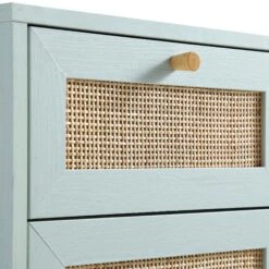 Frances Woven Rattan 1-Door Bathroom Cabinet, Mint 20 Frances Woven Rattan 1-Door Bathroom Cabinet, Mint -Best Furniture Shop FT BAC 01 SAGE detail1