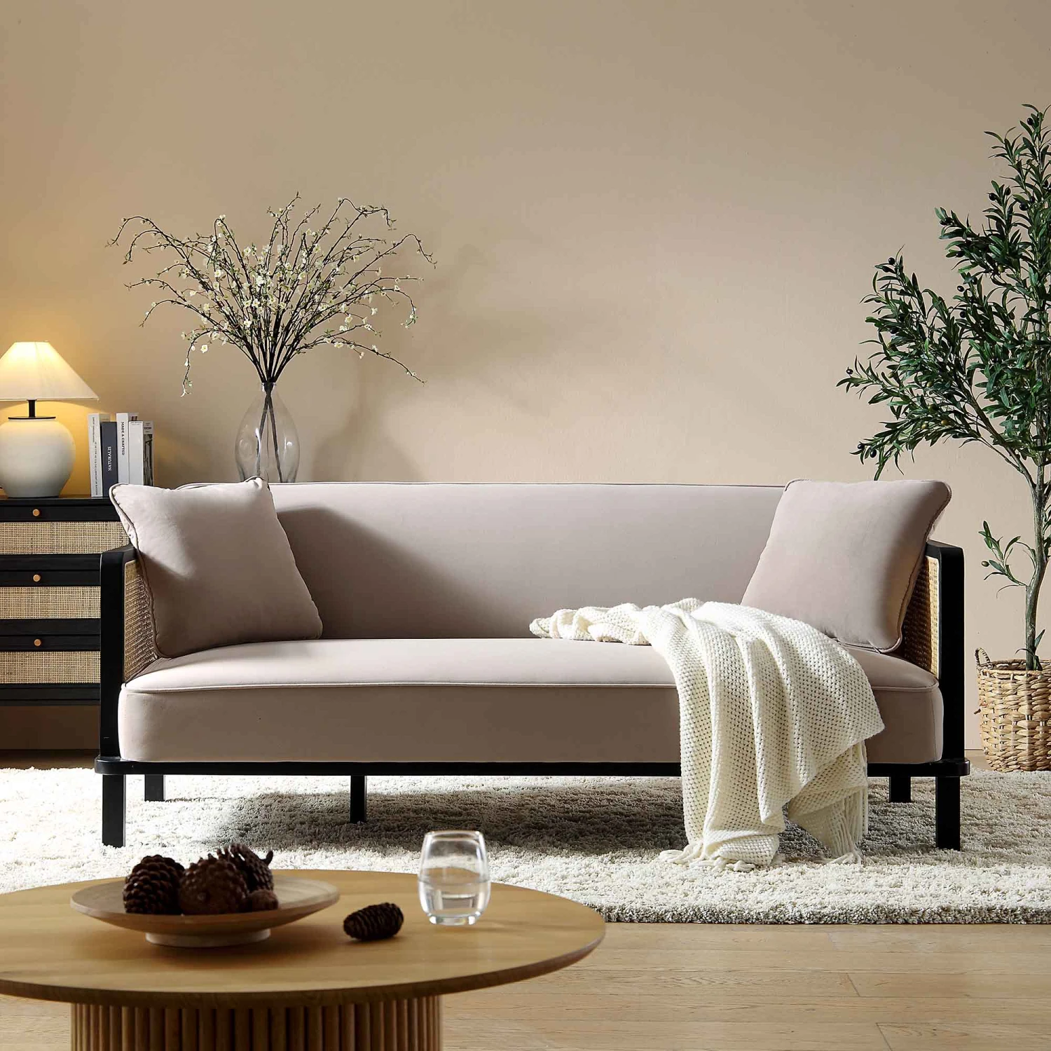 Pienza Cane Sofa Bed, Taupe Velvet With Black Frame 2 Pienza Cane Sofa Bed, Taupe Velvet With Black Frame - Image 2